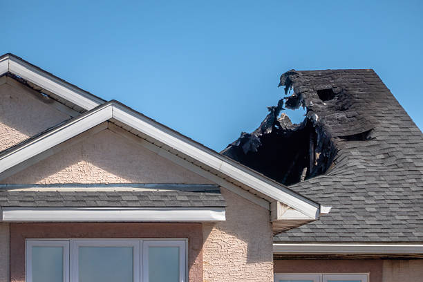 Top rated local Odor Removal specialists in Paoli, PA